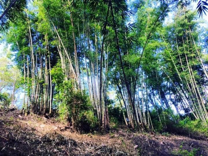 Wisma Kelimutu エンデ エクステリア 写真